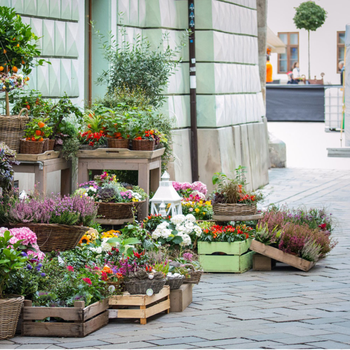 vendeur_fleurs fleuriste